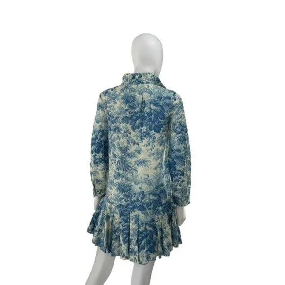 Tuckernuck Dress Misty Blue Toile Long Sleeve Drop Waist Tate Mini Dress Size S - Picture 7 of 12